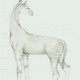 a pencil drawing of an animal that was meant to be a cross between and okapi and a girafee